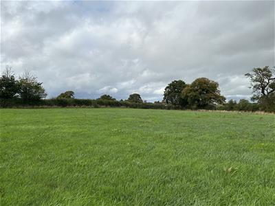 Click to view more details